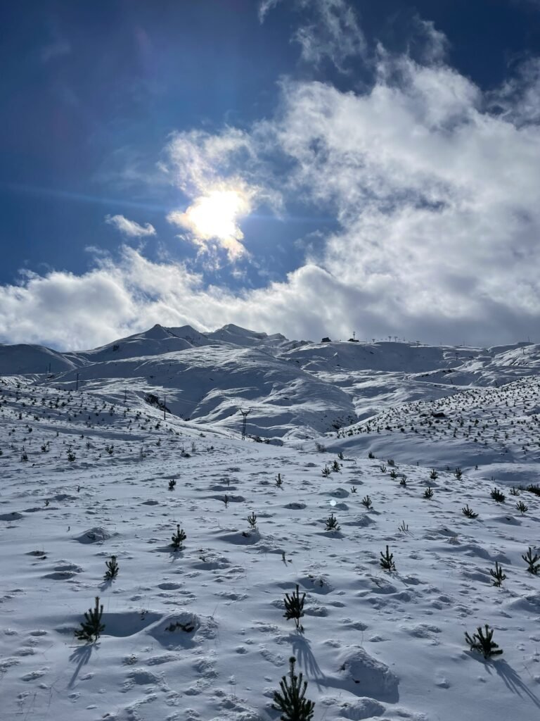 the sun shines brightly over a snowy landscape
